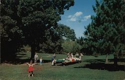 Picnic Area, Pokagon State Park Angola, IN Postcard Postcard Postcard