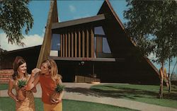 Dole Fruit Stand Postcard