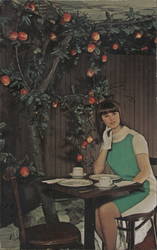 Lady Sitting Inside the Red Apple Restaurant Postcard