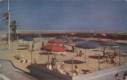 Swimming Pool at the Hotel Del Coronado Postcard