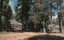 Lakeshore Resort on Huntington Lake in the Sierra National Forest California Bill Stover Postcard Postcard Postcard