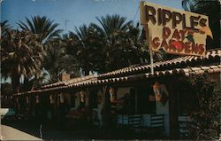 Ripple's Date Gardens Palm Desert, CA Bob Petley Postcard Postcard Postcard