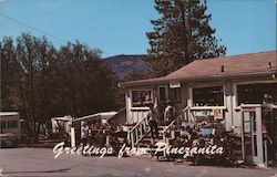 Pinezanita Trailer Ranch & Gift Shop Postcard