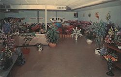 Tex-Art 2901 So. Shepard Houston 6, Texas Wholesale & Retail artificial flowers, plants, & trees Postcard