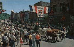 Days of 76 Parade Postcard