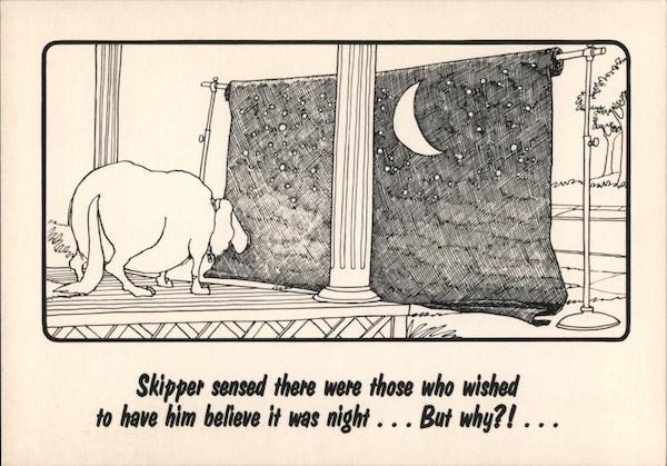 The Neighborhood: Skipper the dog Jerry Van Amerongen