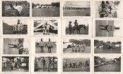 Complete Set of 16: 1910 Roosevelt in Africa Series Postcard