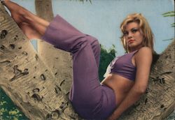 Raquel Welch Celebrities Postcard Postcard Postcard