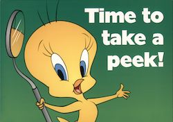 Time to take a peek! Tweety Bird Dental Reminder Postcard