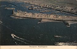 Aerial View of Harbor Westport, WA Postcard Postcard Postcard