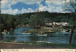 Wolf Island Paddle Boats Harrison, AR Postcard Postcard Postcard