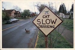 Stock #938031 Thumbnail