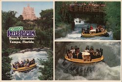 Congo River Rapids, Busch Gardens Postcard