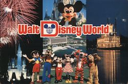 Views of Walt Disney World Postcard
