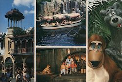Adventureland, Walt Disney World Postcard