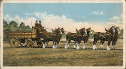 Union Stock Yards Company Six-Horse Team Postcard