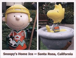 Snoopy's Home Ice Santa Rosa, CA Postcard Postcard Postcard