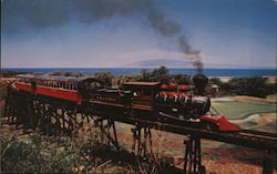 Lahaina-Kaanapali & Pacific Railroad Postcard