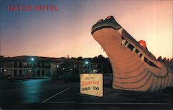 Gator Motel Kissimmee, FL Postcard Postcard Postcard