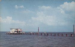 Fishing Pier in Manatee County Postcard