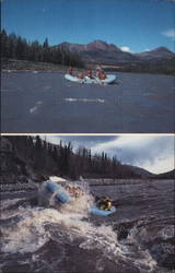 McKinley Raft Tours - Denali National Park Alaska Postcard Postcard Postcard