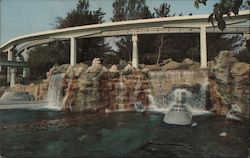 Submarine Falls at Disneyland Postcard