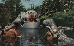 Jungle Cruise, Disneyland Postcard