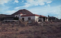 Scordalo's Restaurant Tucson, AZ Postcard Postcard Postcard