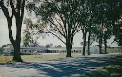 Grand View Motel Postcard