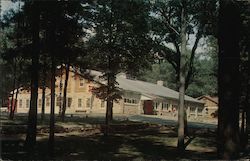 Pavilion in Shawano County Park Postcard