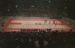 Basketball Game Inside the Memorial Coliseum at the University of Alabama Tuscaloosa, AL Postcard Postcard Postcard