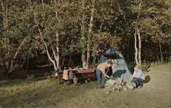 Typical Camp Site Found Throughout the State of New Hampshire Postcard