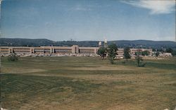 A Viwe of the IBM Plant Postcard