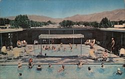 Holmes Hot Springs Postcard