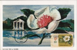 Franklinia Alatamaha - Franklin Tree, First Day of Issue 1969 Postcard