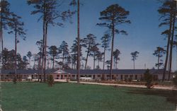 The Pines Motel Postcard