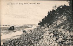 Lost Rock and Stony Beach Douglas, MI Postcard Postcard Postcard