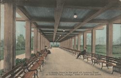 Garfield Park Chicago Postcard