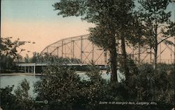 Scene in St. George's Park Postcard