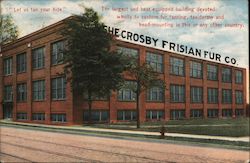 The Crosby Frisian Fur Company Postcard