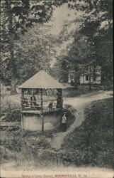 Spring at Camp Ground Postcard