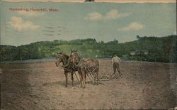 Harrowing a Field Haverhill, MA Postcard Postcard Postcard