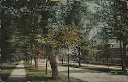 Main Drive State College, Pa. Postcard