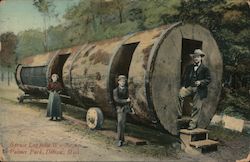 Spruce Log from Washington Palmer Park Postcard