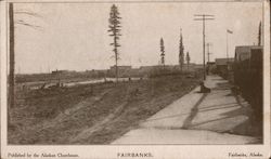 Scenic View Fairbanks, AK Postcard Postcard Postcard