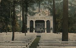 Forest Temple Lily Dale, NY Postcard Postcard Postcard