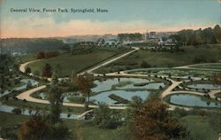 General View, Forest Park, Springfield, Mass. Massachusetts Postcard Postcard Postcard