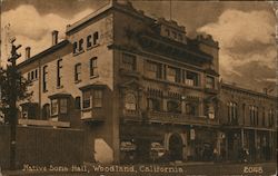 Native Sons Hall Postcard