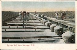 Syracuse Salt Yards Postcard