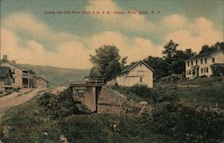 Along the Old Tow Path & D & H Canal Pond Eddy, NY Postcard Postcard Postcard
